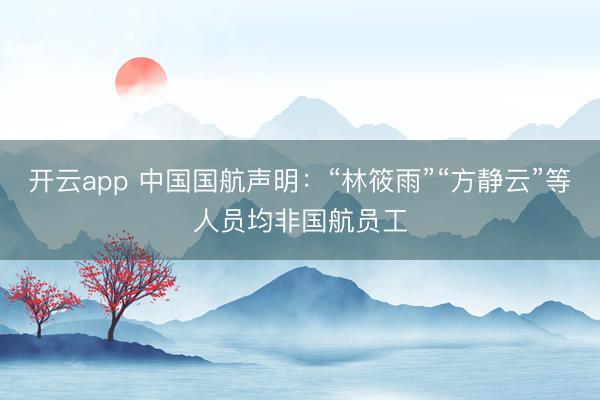 開云app 中國(guó)國(guó)航聲明：“林筱雨”“方靜云”等人員均非國(guó)航員工
