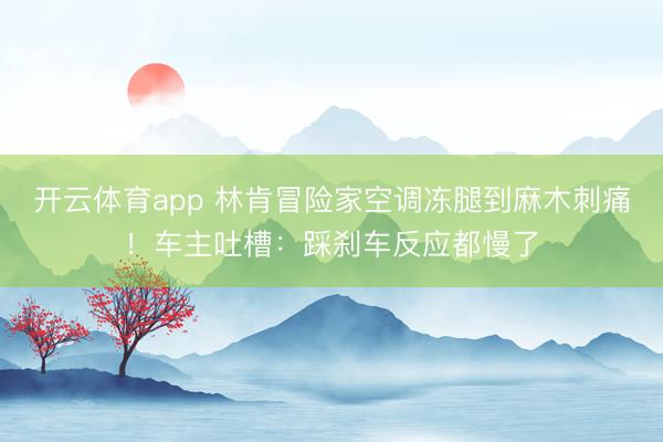 開云體育app 林肯冒險家空調凍腿到麻木刺痛!車主吐槽:踩剎車反應都慢了