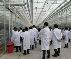 永通科技亮相京津冀，共探蔬菜工廠化生產新路徑